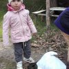 20160427_170715